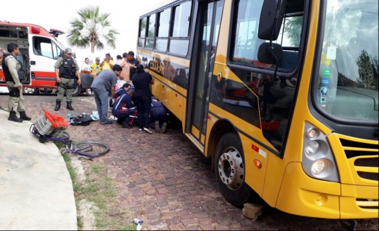 onibus